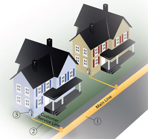 mainservice - Frequently Asked Questions