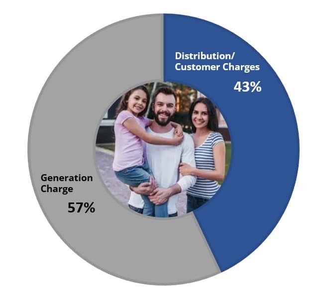 Pie Chart showing Generation Charge is 57% and Distribution/Customer Charges is 43%