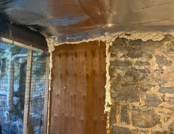 Basement door sealed with foam insulation.