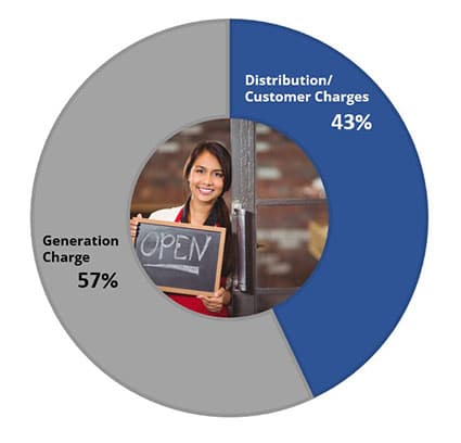Pie Chart showing Generation Charge is 57% and Distribution/Customer Charges is 43%