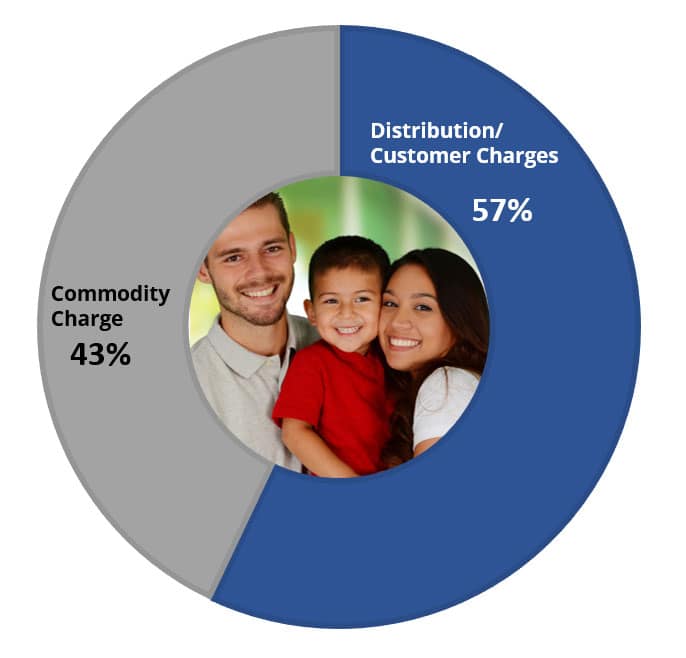 Pie Chart showing Commodity Charge is 41% and Distribution/Customer Charges is 59%